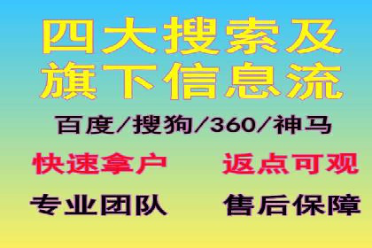 SEM外包服务应用案例分析